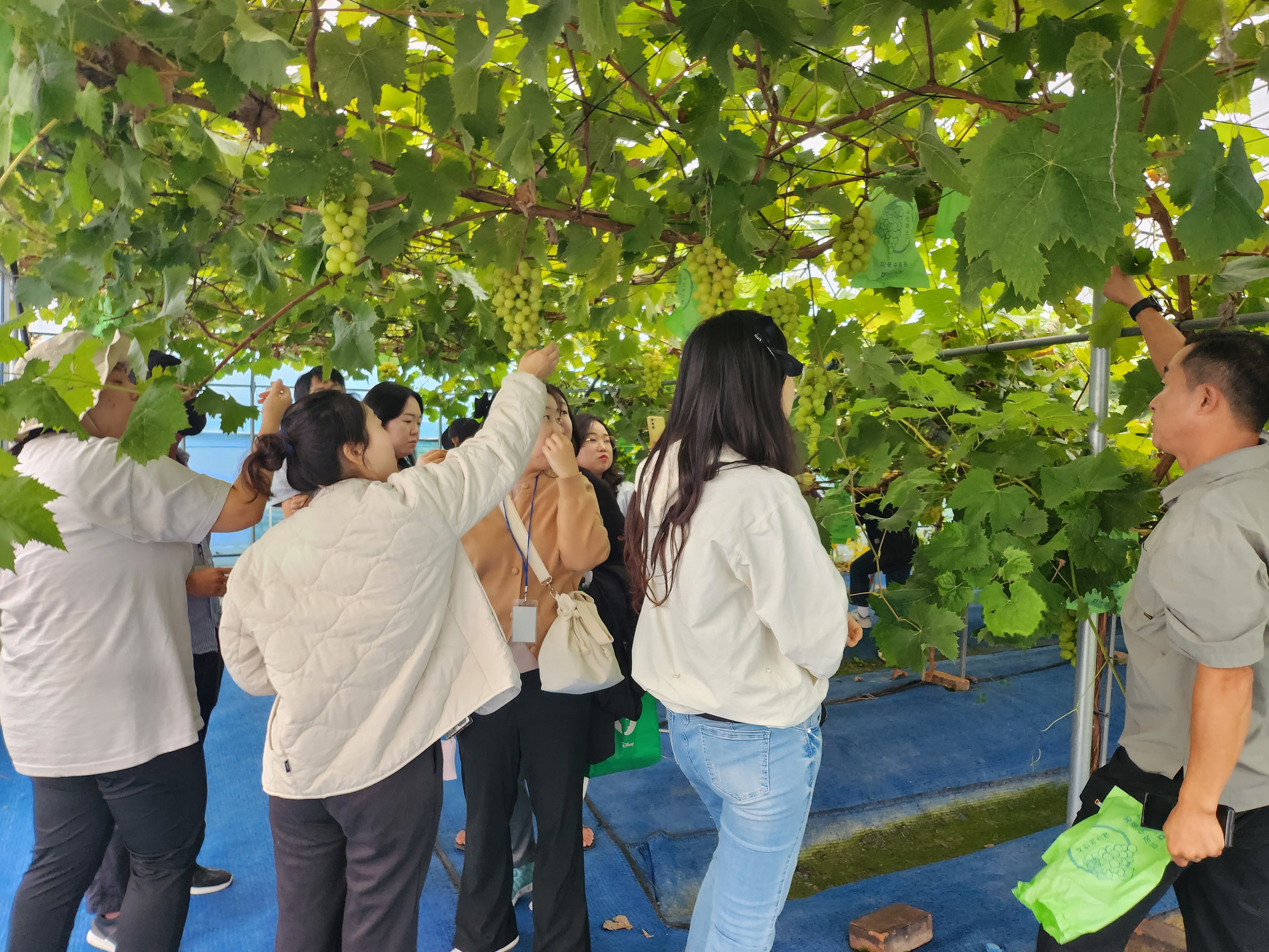 KakaoTalk_20231129_160947242