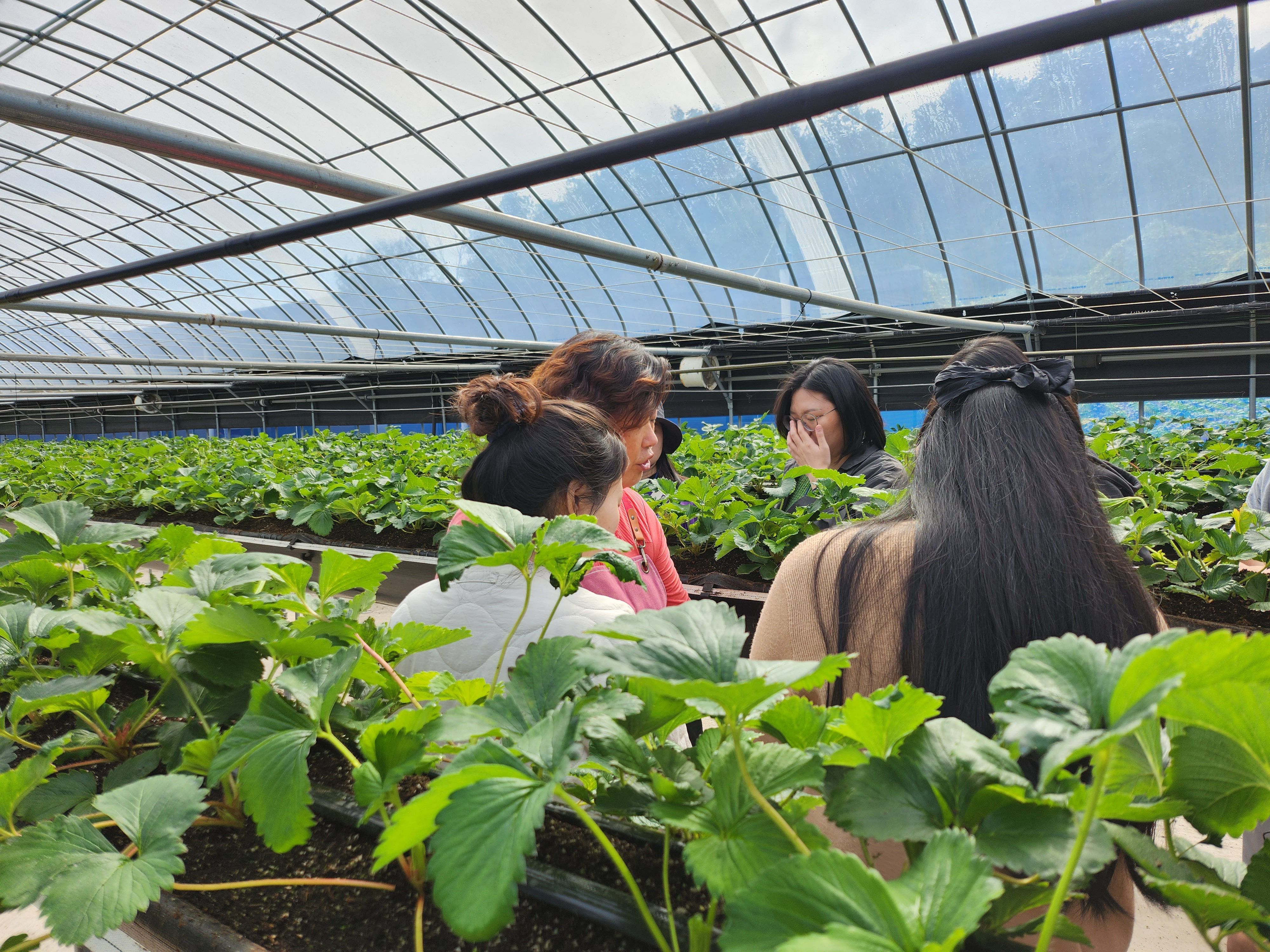 KakaoTalk_20231129_161018496