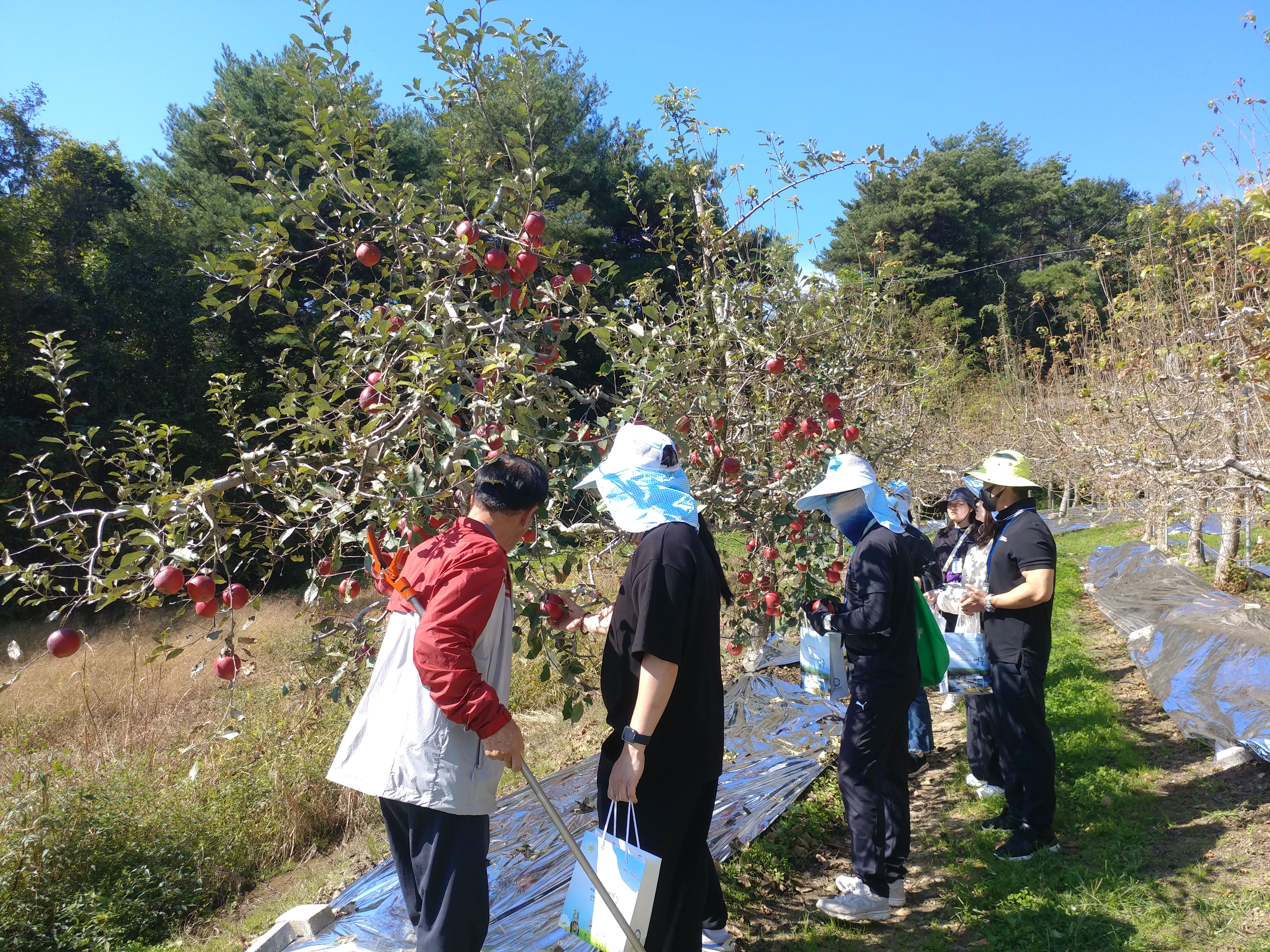 KakaoTalk_20231129_161138027